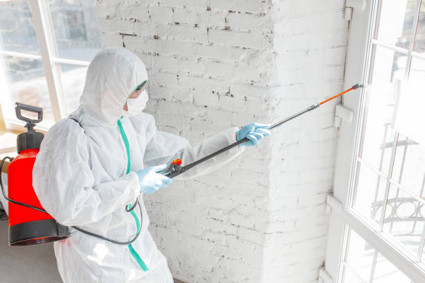 Best Comprehensive Air Testing for Mold Contaminants  in Oriska, NY