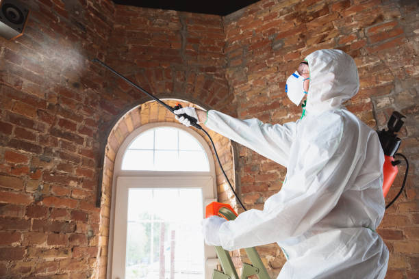 Best Mold Remediation for Rental Properties  in Oriska, NY