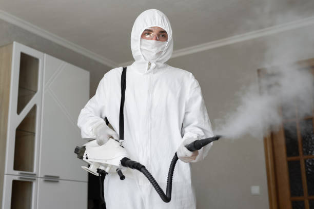 Best Basement Mold Removal  in Oriska, NY