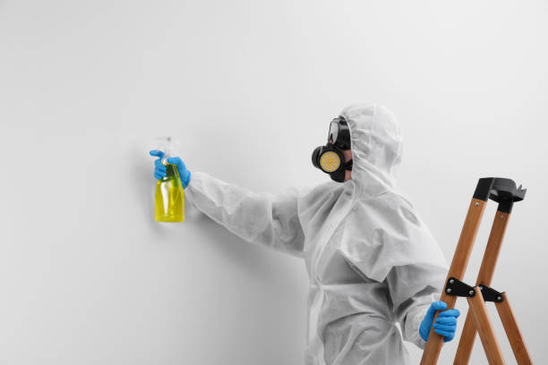 Best Biohazard Mold Removal  in Oriska, NY